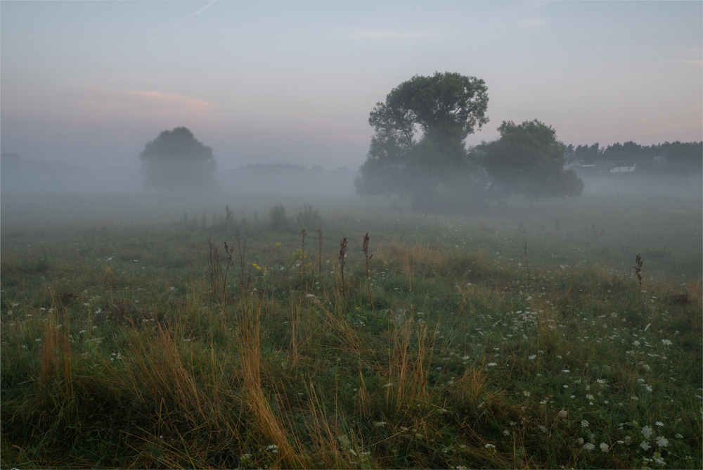 Фотографія ... / Микола Шахманцір / photographers.ua