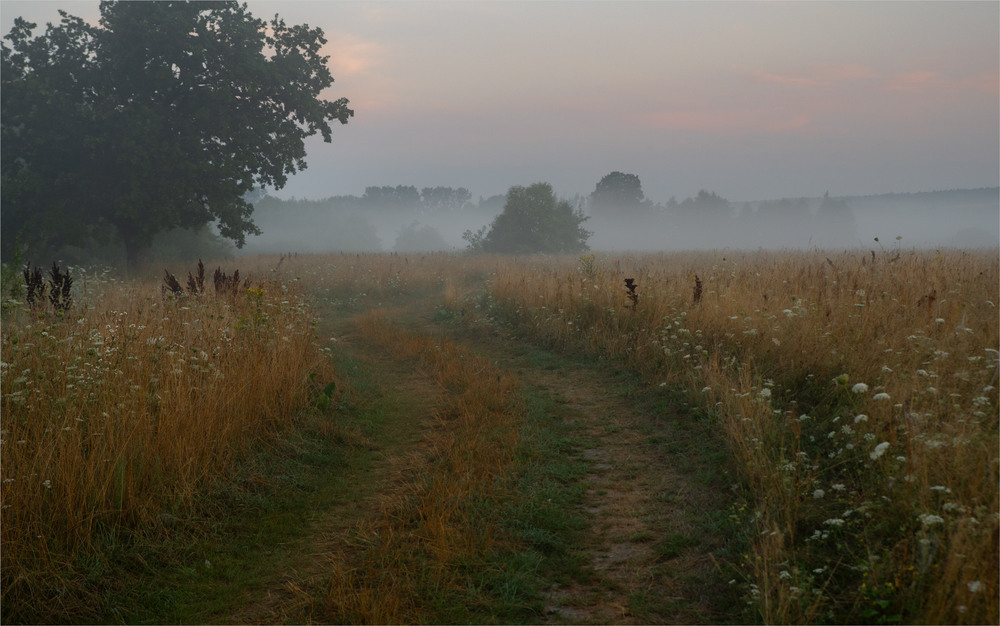 Фотографія ... / Микола Шахманцір / photographers.ua