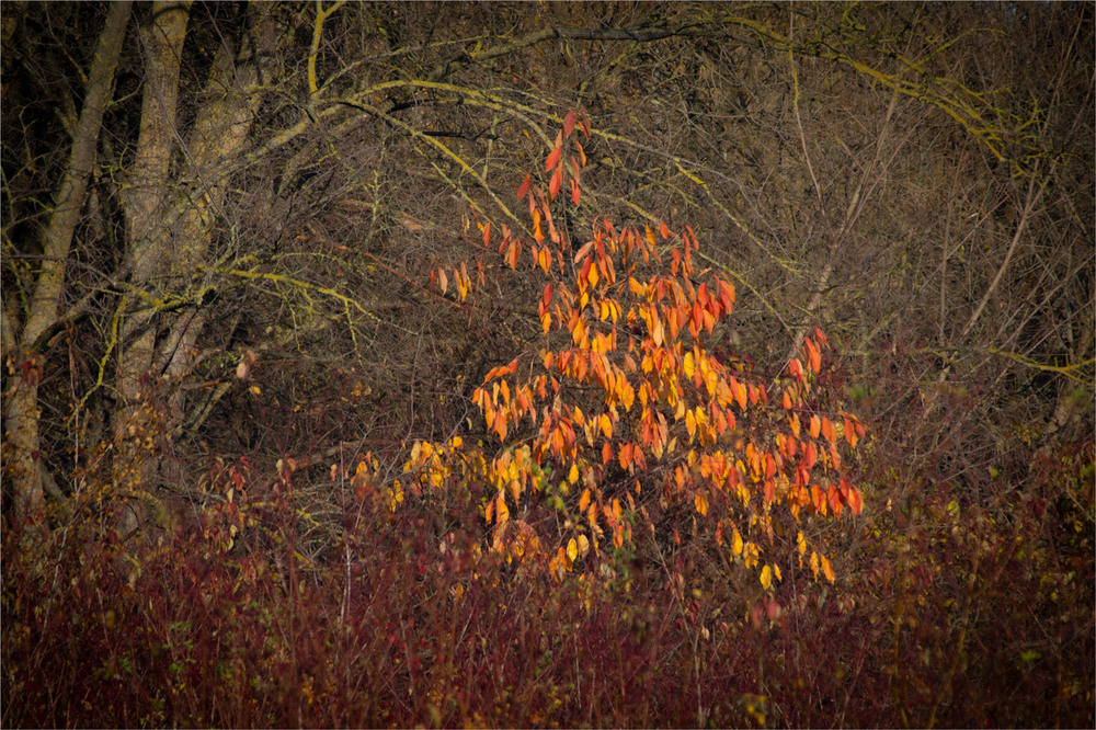 Фотографія ... / Микола Шахманцір / photographers.ua