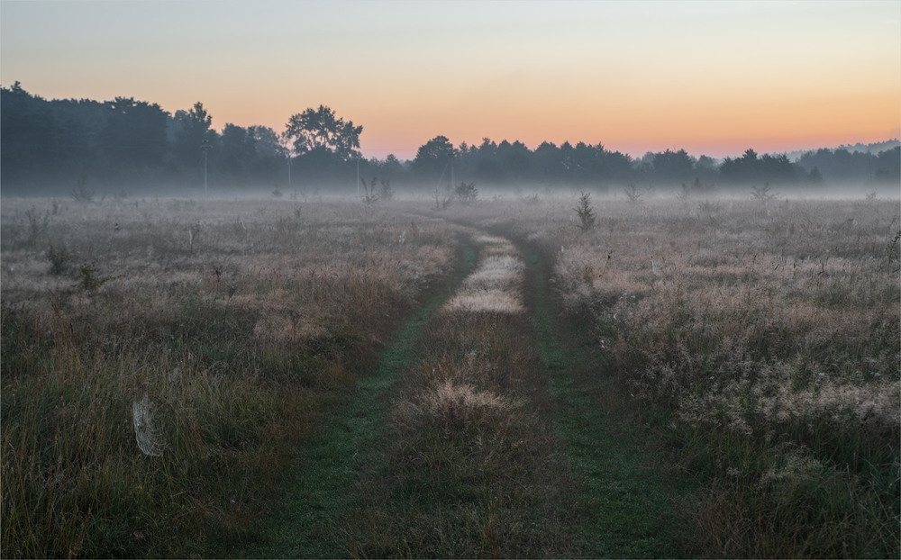 Фотографія ... / Микола Шахманцір / photographers.ua