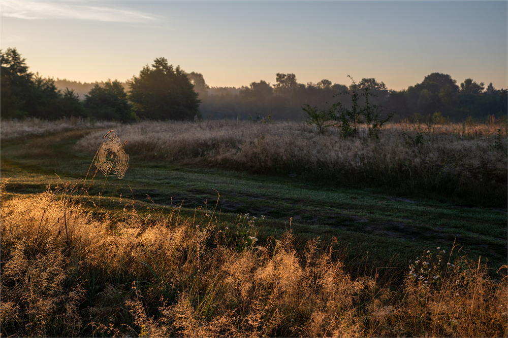 Фотографія ... / Микола Шахманцір / photographers.ua
