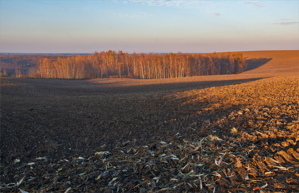 Фотографія золота пора... / Микола Шахманцір / photographers.ua