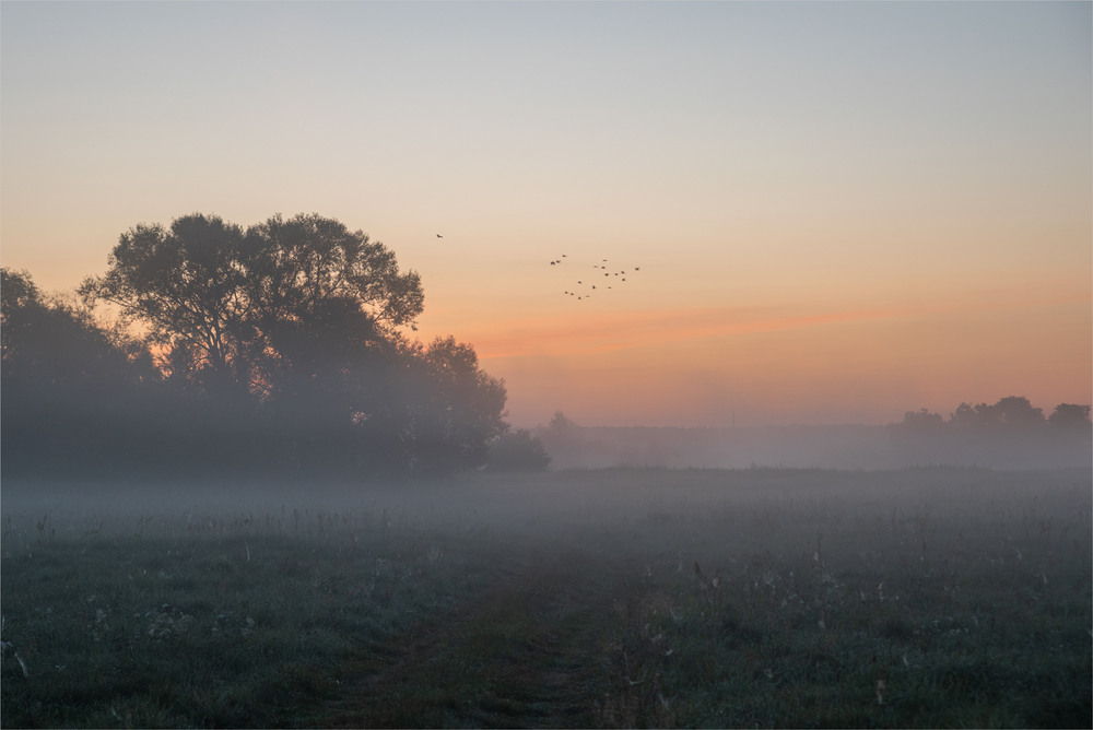 Фотографія ..... / Микола Шахманцір / photographers.ua