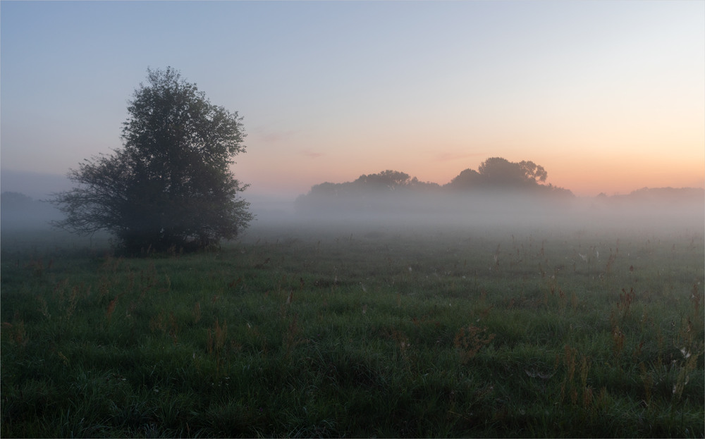 Фотографія ..... / Микола Шахманцір / photographers.ua
