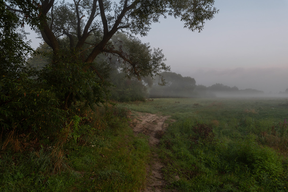 Фотографія ..... / Микола Шахманцір / photographers.ua