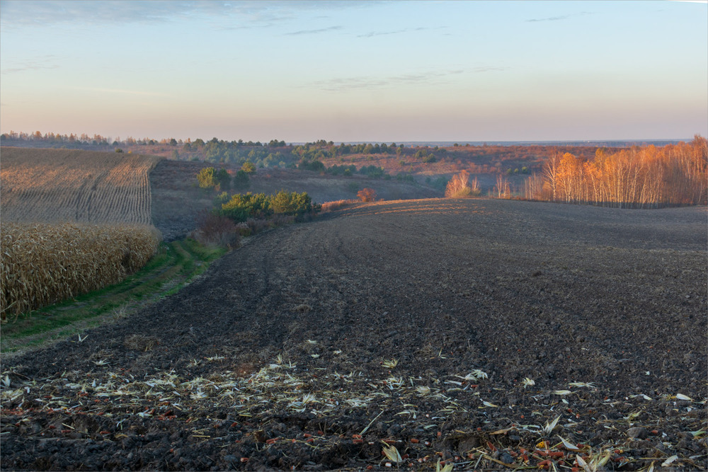 Фотографія осіння пора... / Микола Шахманцір / photographers.ua