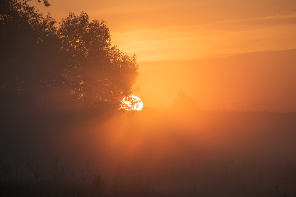 Фотографія ... / Микола Шахманцір / photographers.ua