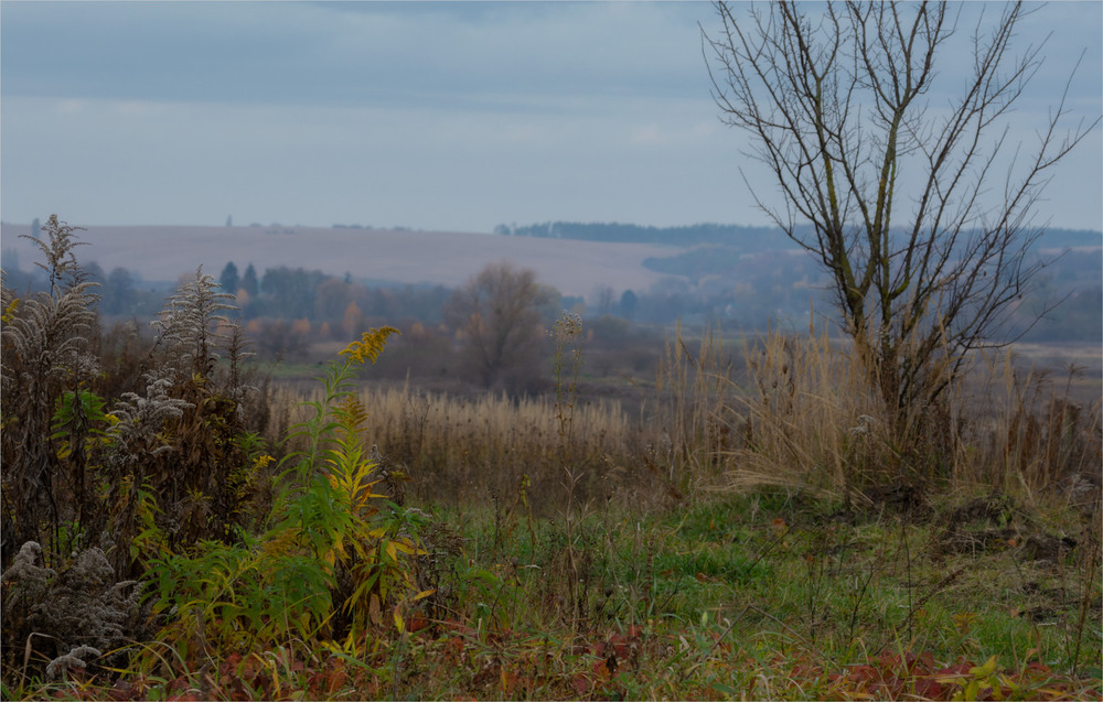 Фотографія ... / Микола Шахманцір / photographers.ua