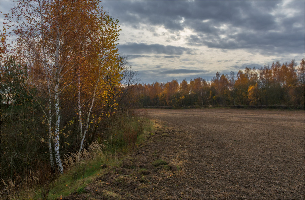 Фотографія про осінь... / Микола Шахманцір / photographers.ua