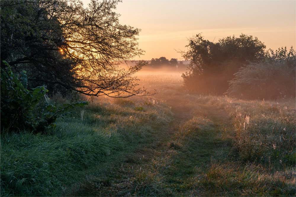 Фотографія ..... / Микола Шахманцір / photographers.ua