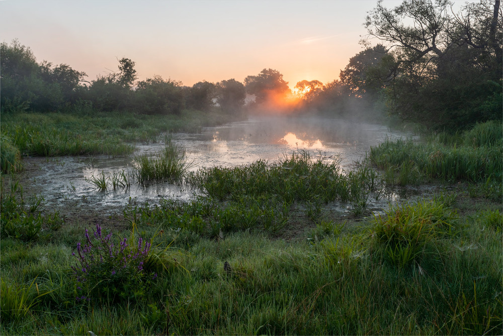 Фотографія .... / Микола Шахманцір / photographers.ua