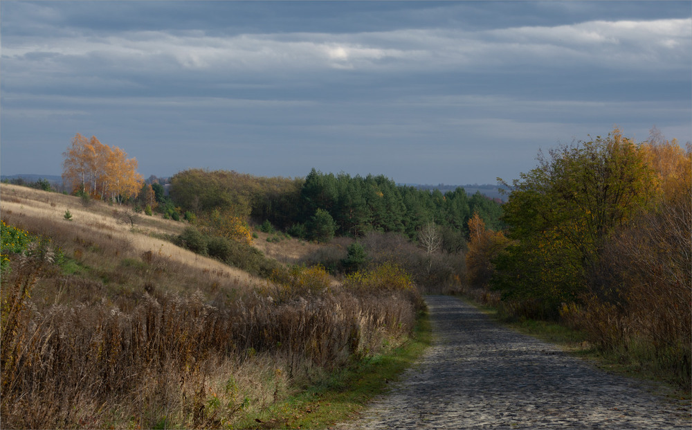 Фотографія "осінні дороги" / Микола Шахманцір / photographers.ua