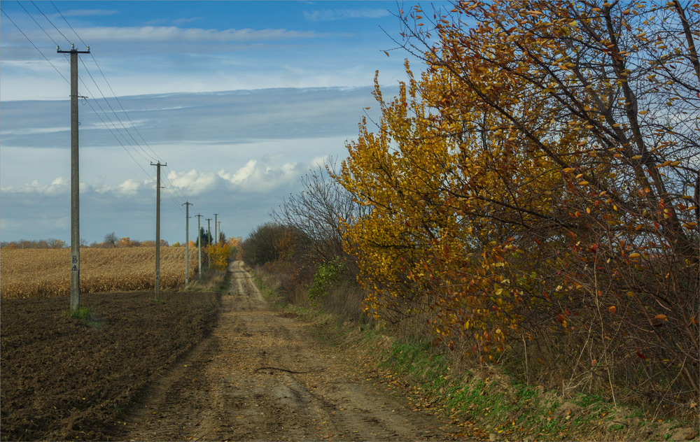 Фотографія мої дороги польові... / Микола Шахманцір / photographers.ua