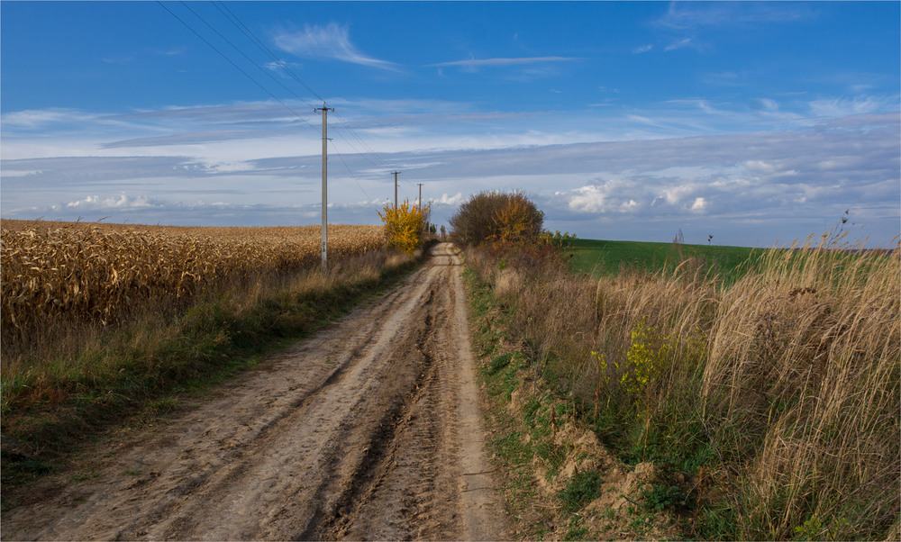 Фотографія мої дороги... / Микола Шахманцір / photographers.ua
