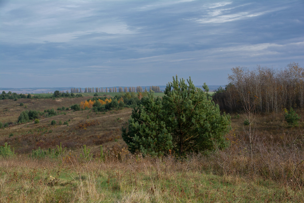 Фотографія ... / Микола Шахманцір / photographers.ua