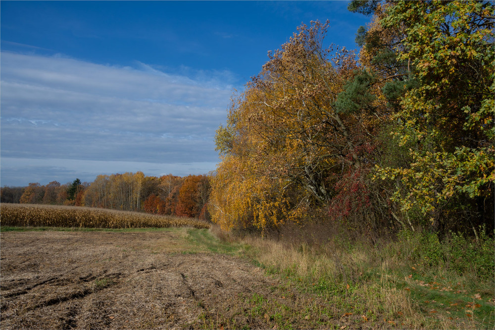 Фотографія ... / Микола Шахманцір / photographers.ua
