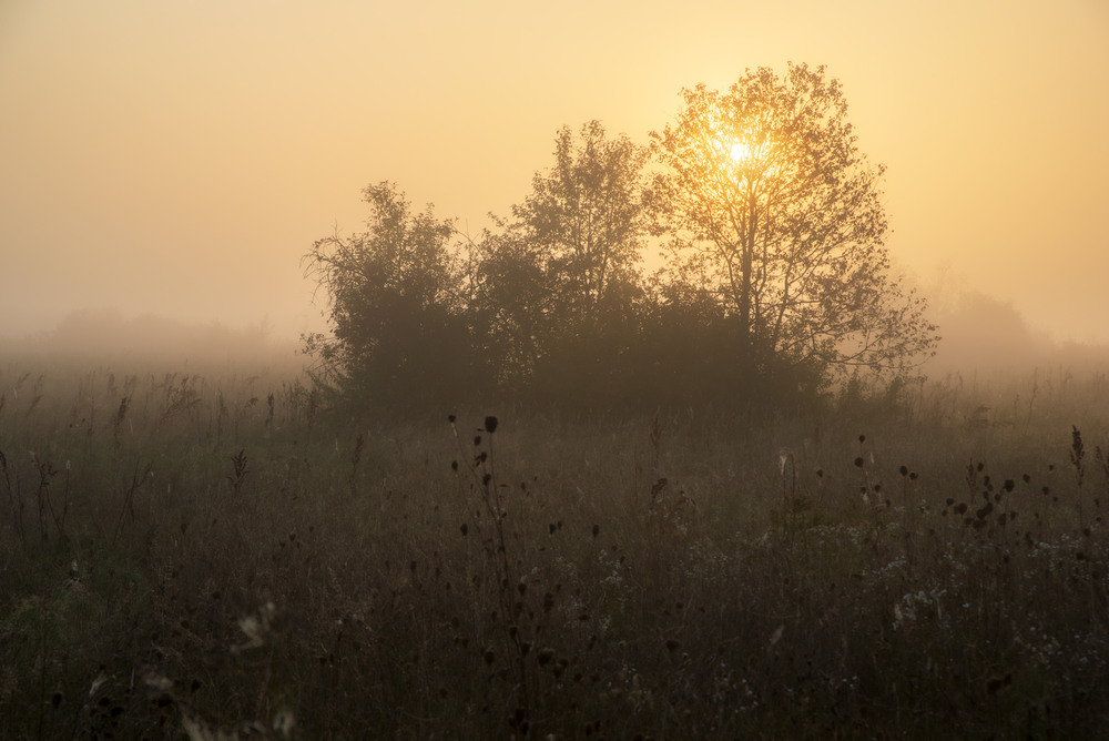 Фотографія .... / Микола Шахманцір / photographers.ua