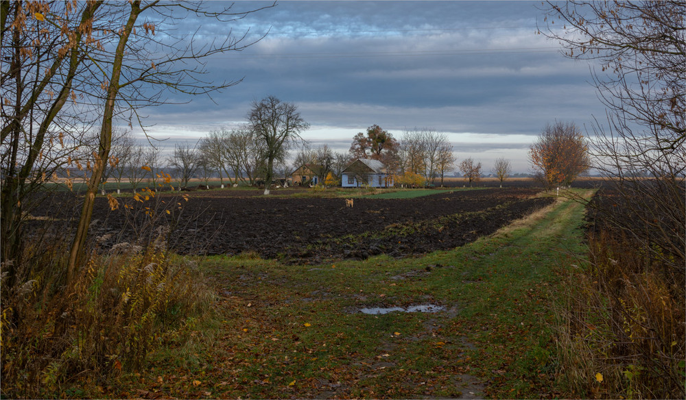 Фотографія осінь на хуторі / Микола Шахманцір / photographers.ua