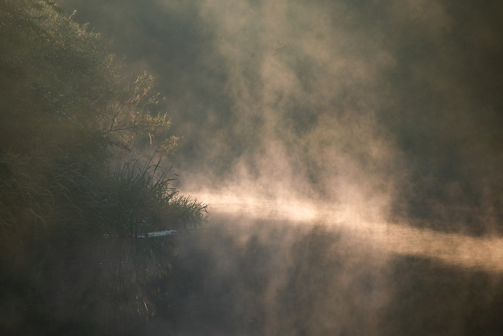 Фотографія ..... / Микола Шахманцір / photographers.ua