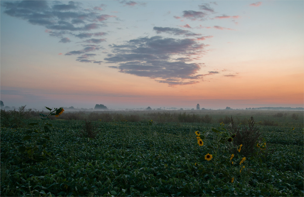 Фотографія .... / Микола Шахманцір / photographers.ua