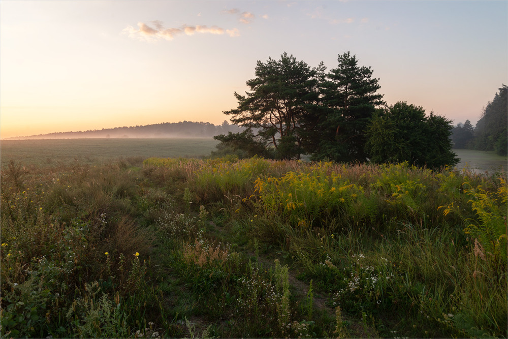 Фотографія .... / Микола Шахманцір / photographers.ua