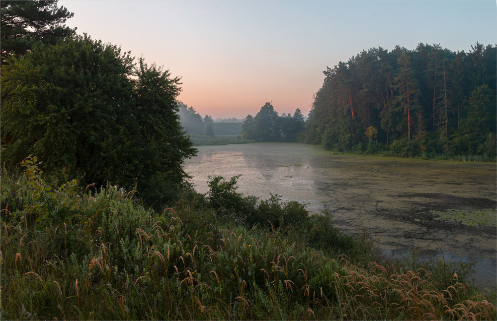 Фотографія .... / Микола Шахманцір / photographers.ua