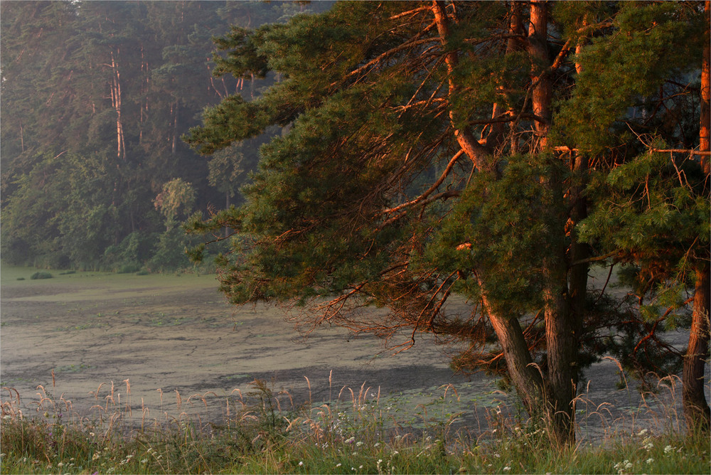 Фотографія ... / Микола Шахманцір / photographers.ua