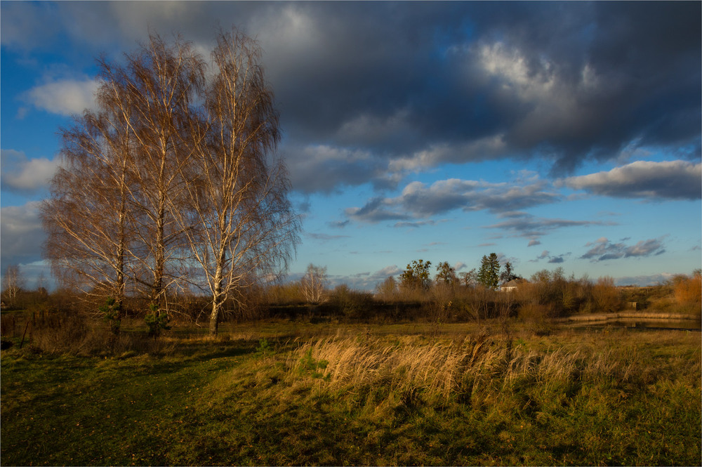 Фотографія про осінь-що минула... / Микола Шахманцір / photographers.ua
