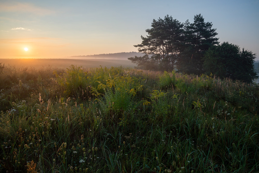 Фотографія ..... / Микола Шахманцір / photographers.ua