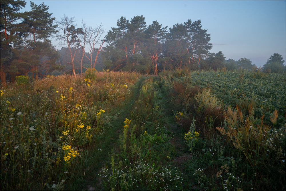 Фотографія ... / Микола Шахманцір / photographers.ua