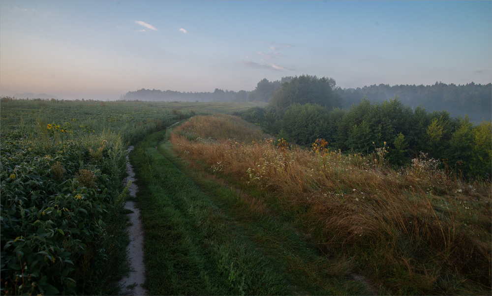 Фотографія ..... / Микола Шахманцір / photographers.ua