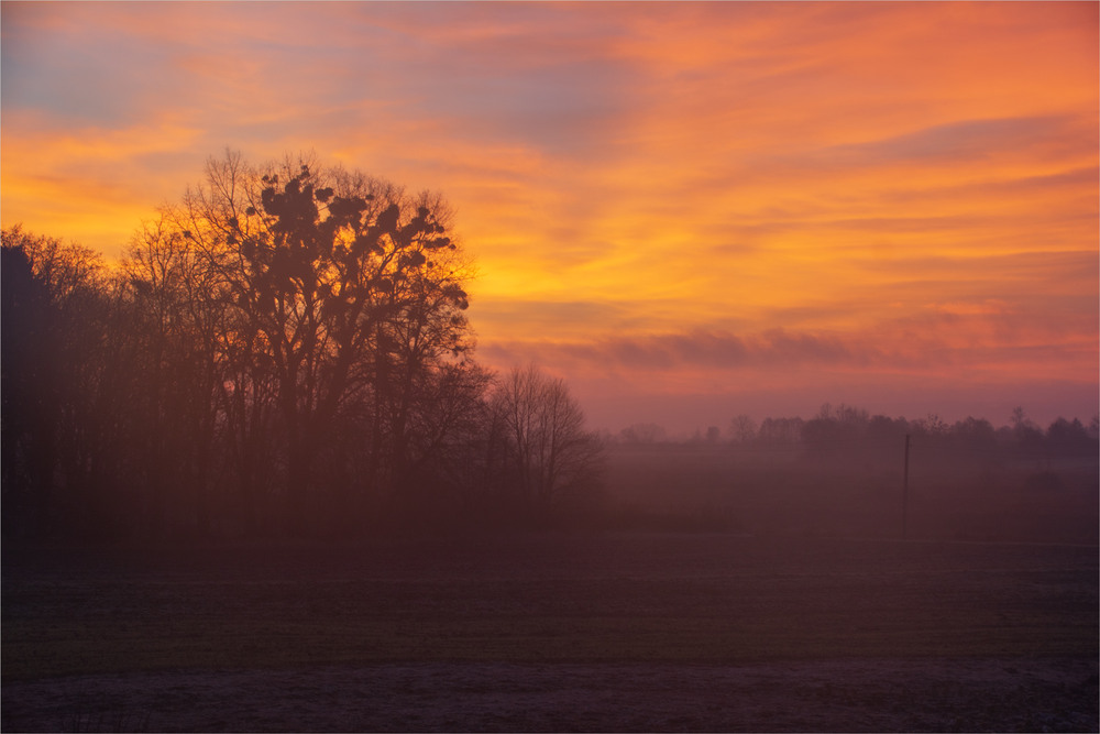 Фотографія грудневий світанок... / Микола Шахманцір / photographers.ua