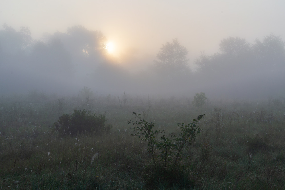 Фотографія .... / Микола Шахманцір / photographers.ua