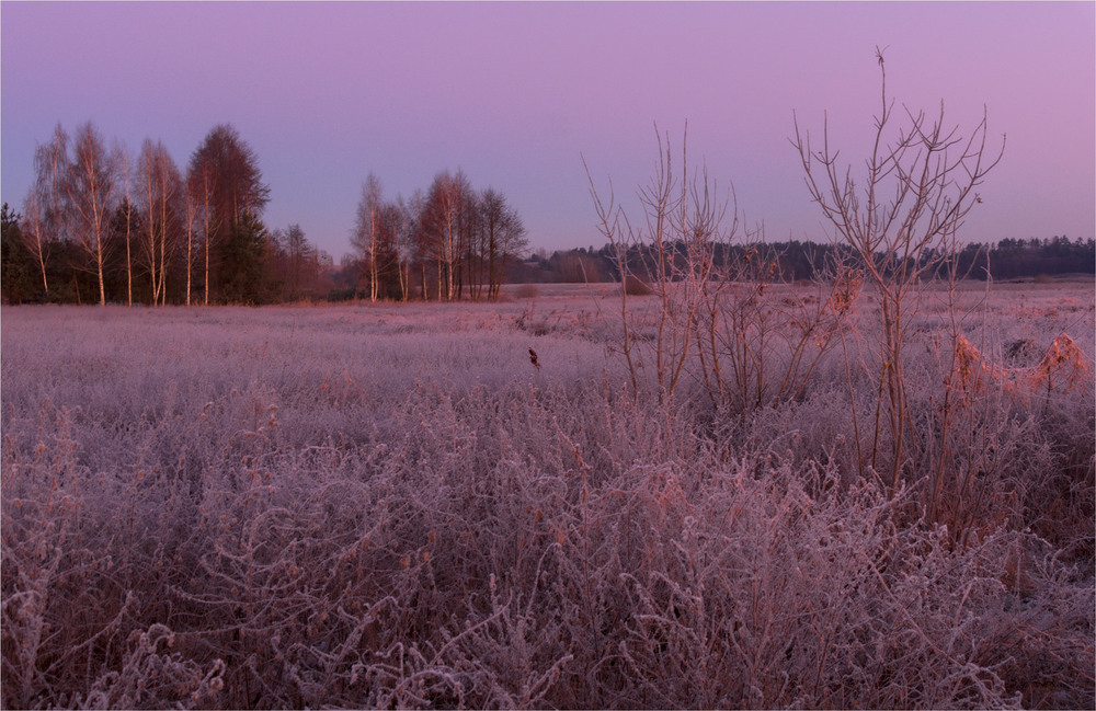 Фотографія морозно... / Микола Шахманцір / photographers.ua