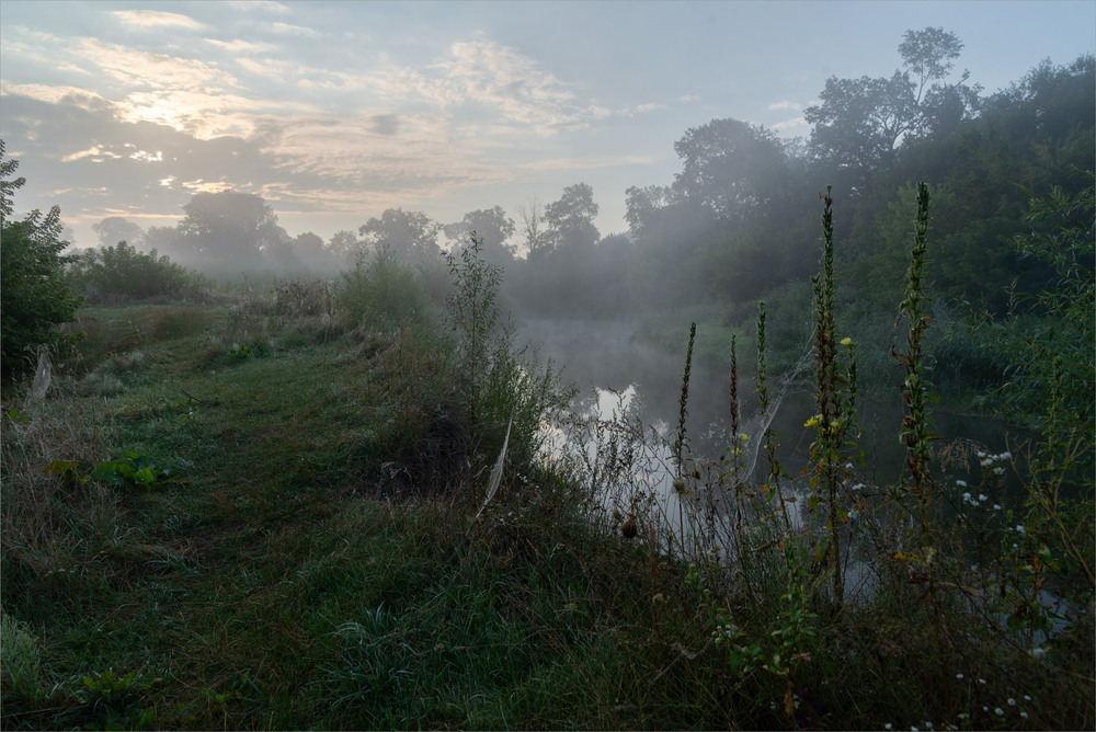 Фотографія .... / Микола Шахманцір / photographers.ua