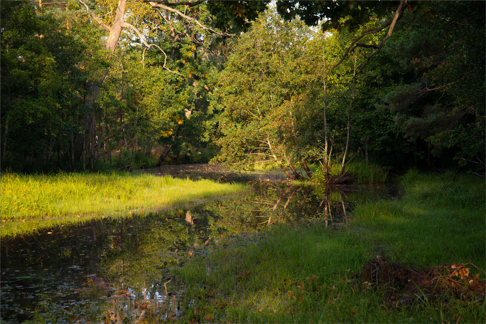 Фотографія на річечці Бобер / Микола Шахманцір / photographers.ua
