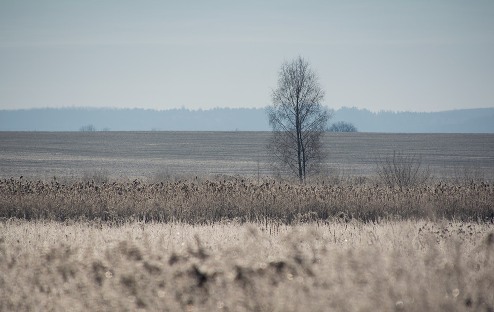 Фотографія морозно... / Микола Шахманцір / photographers.ua