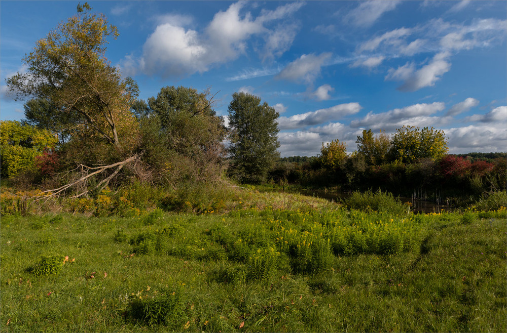 Фотографія ... / Микола Шахманцір / photographers.ua