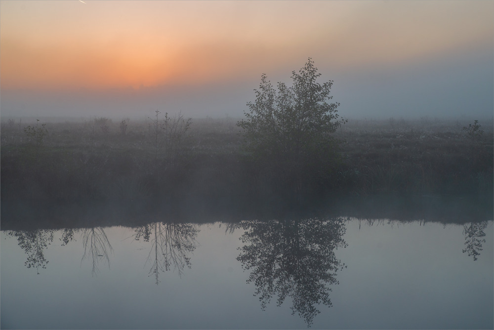 Фотографія ..... / Микола Шахманцір / photographers.ua