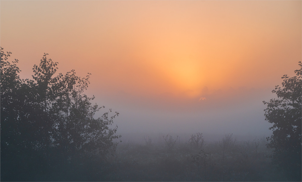Фотографія ... / Микола Шахманцір / photographers.ua