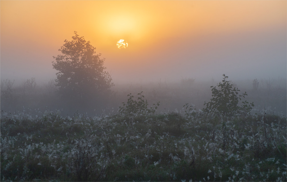 Фотографія ..... / Микола Шахманцір / photographers.ua