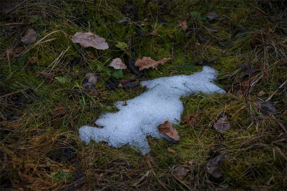 Фотографія прощання з зимою... / Микола Шахманцір / photographers.ua