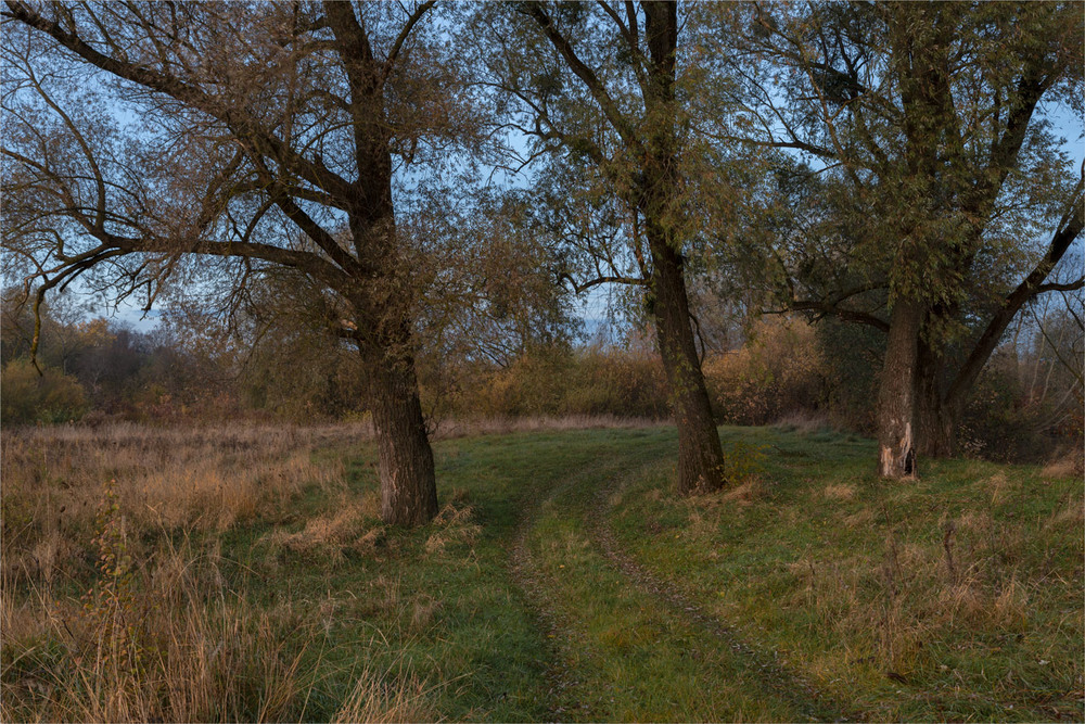 Фотографія *** / Микола Шахманцір / photographers.ua