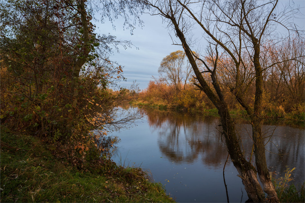 Фотографія *** / Микола Шахманцір / photographers.ua