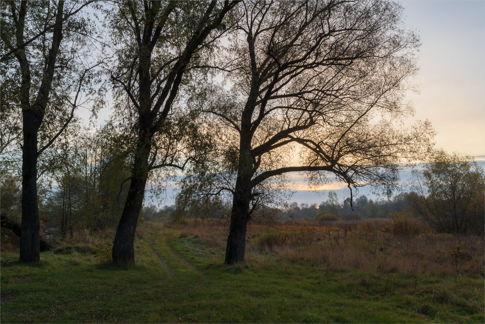 Фотографія *** / Микола Шахманцір / photographers.ua