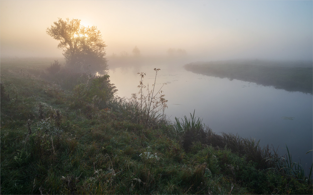 Фотографія ... / Микола Шахманцір / photographers.ua