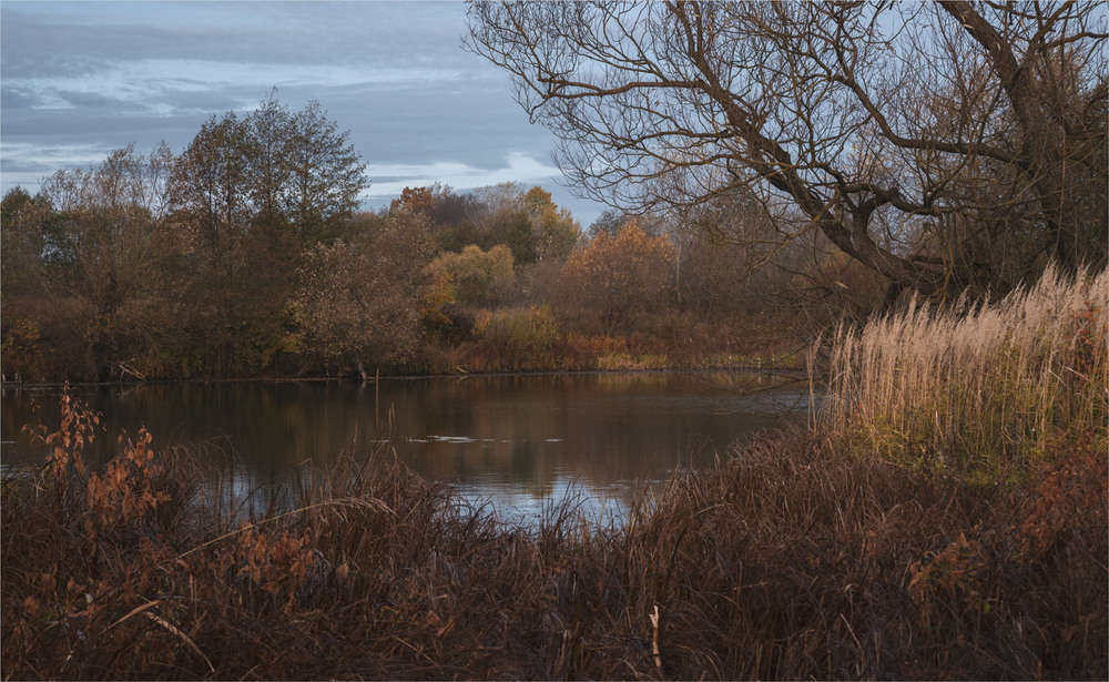 Фотографія пізня осінь / Микола Шахманцір / photographers.ua