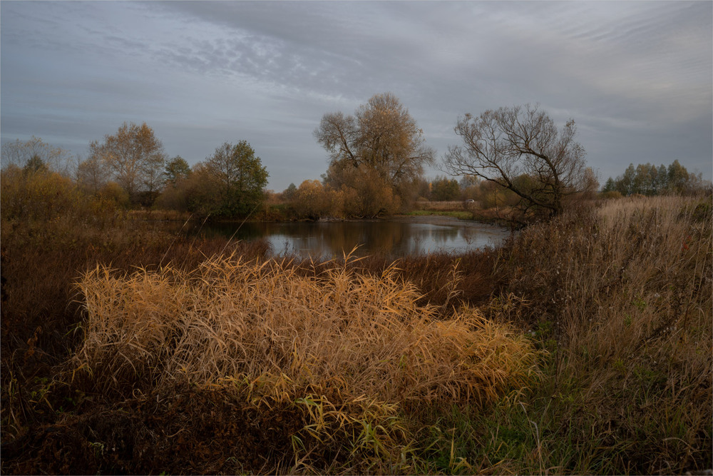 Фотографія **** / Микола Шахманцір / photographers.ua