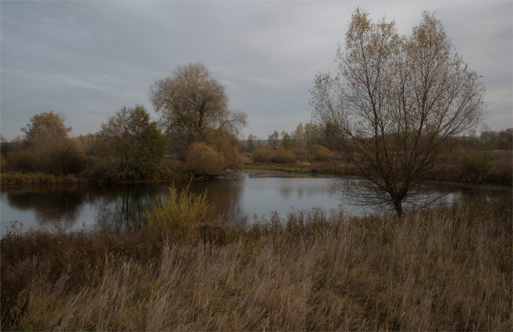 Фотографія **** / Микола Шахманцір / photographers.ua