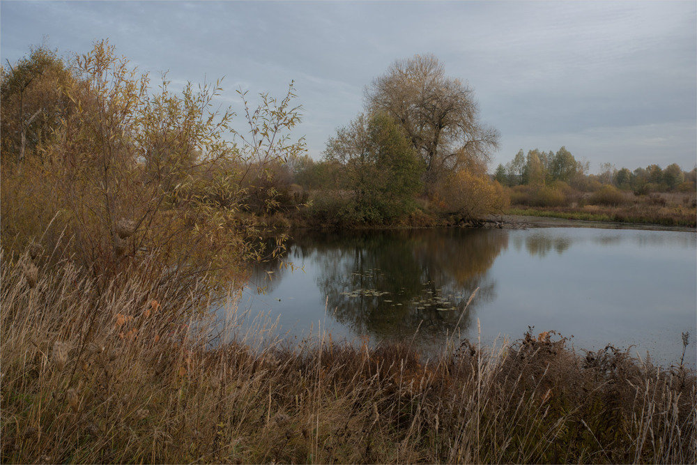 Фотографія *** / Микола Шахманцір / photographers.ua